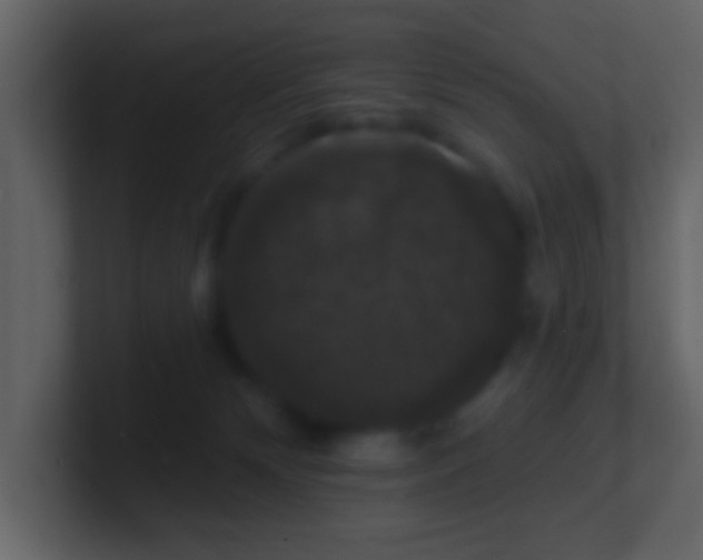 X0000100890132200807081049