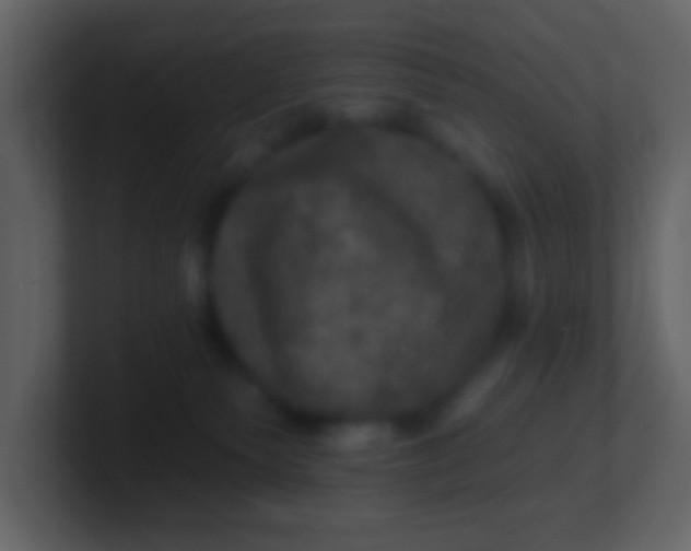 X0000100890135200807081049