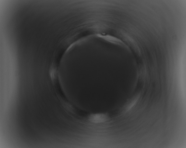 X0000100890137200807081049