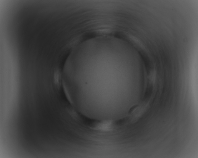 X0000100890138200807081049