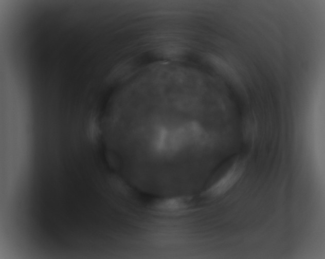 X0000100890140200807081049