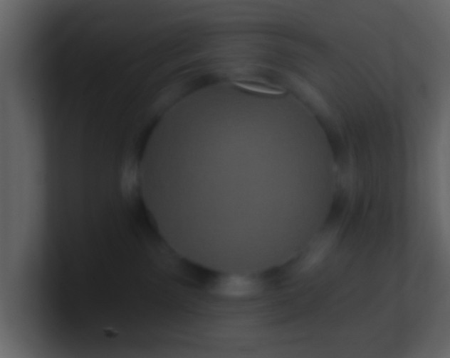 X0000100890141200807081049