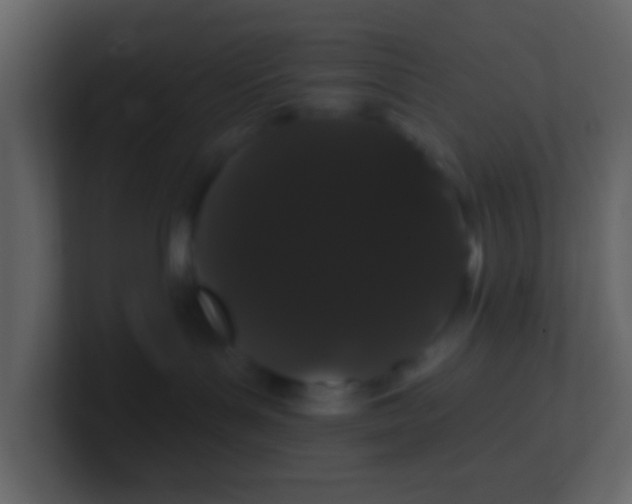 X0000100890143200807081049