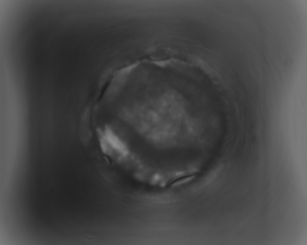 X0000100890144200807081049