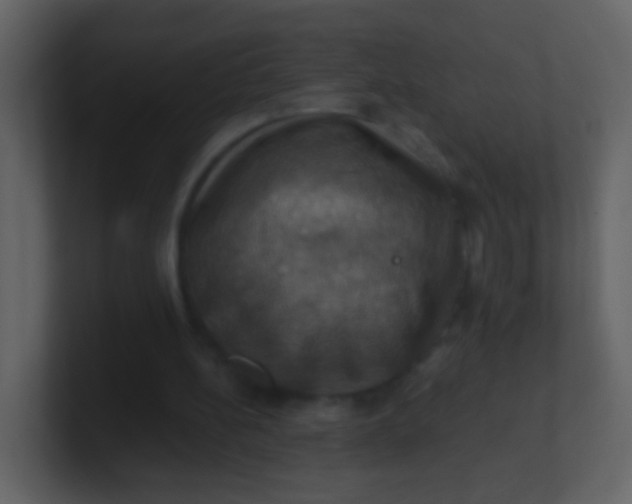 X0000100890148200807081048