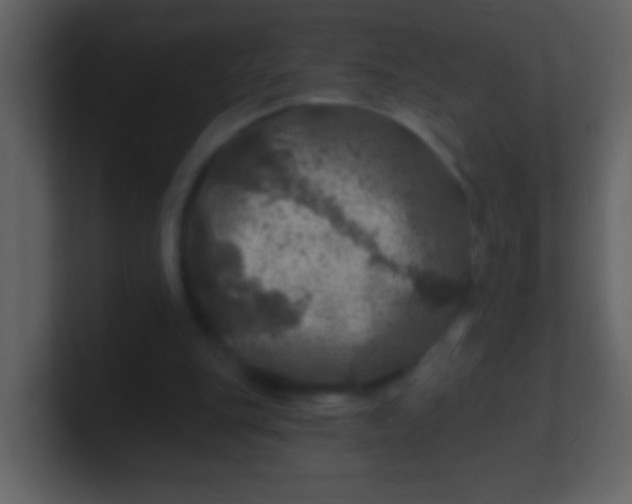 X0000100890151200807081048