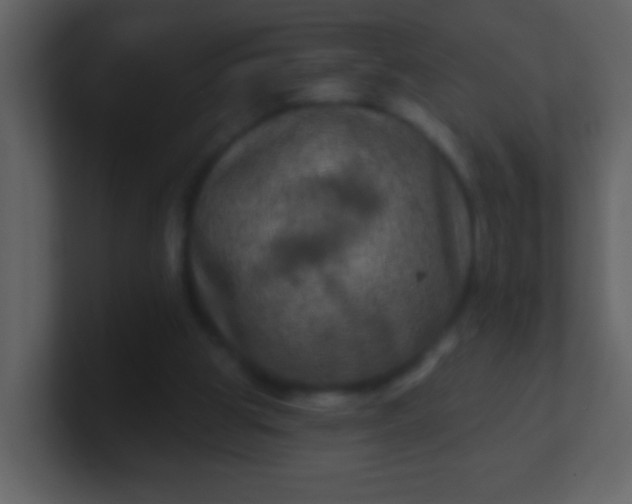 X0000100890153200807081048