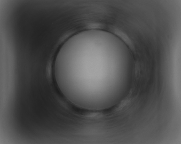 X0000100890155200807081048