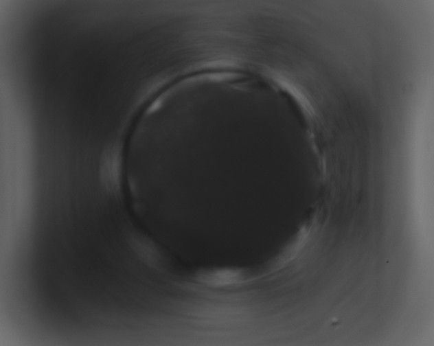 X0000100890156200807081048