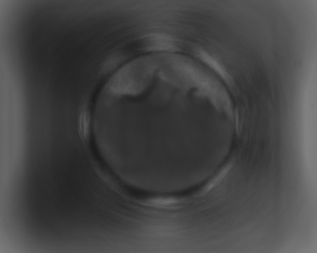 X0000100890157200807081048