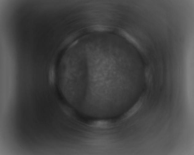 X0000100890158200807081048