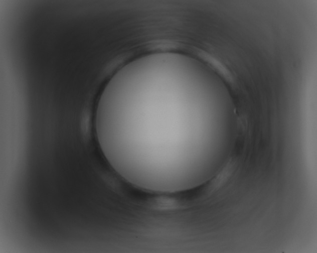 X0000100890159200807081048