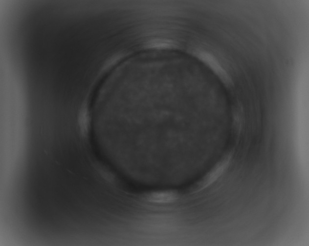 X0000100890160200807081048