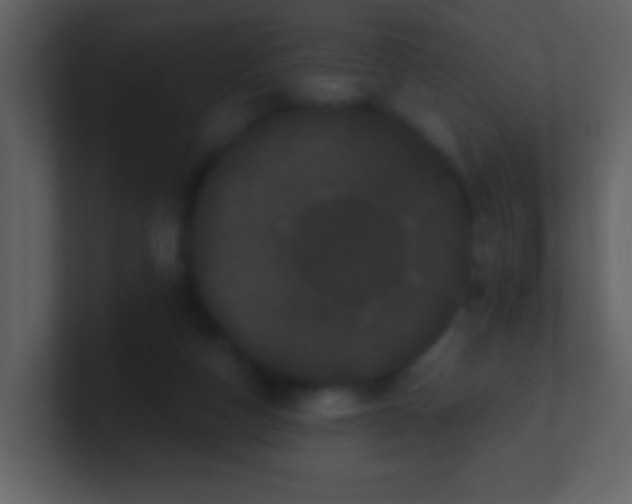 X0000100890162200807081048