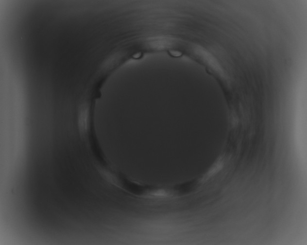 X0000100890163200807081048