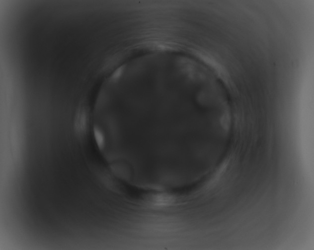 X0000100890165200807081048