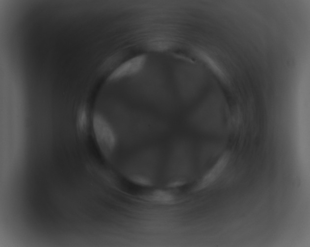 X0000100890166200807081048