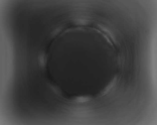 X0000100890168200807081048