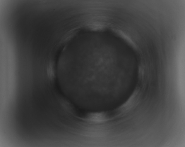 X0000100890170200807081048