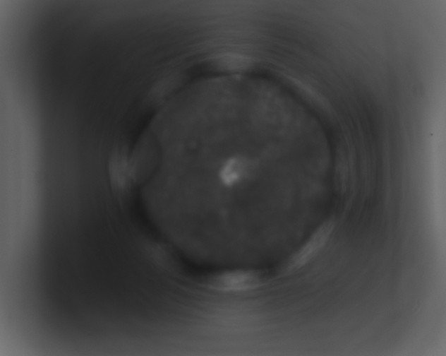 X0000100890172200807081049