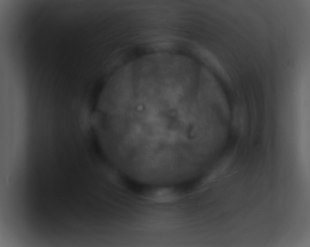 X0000100890173200807081049