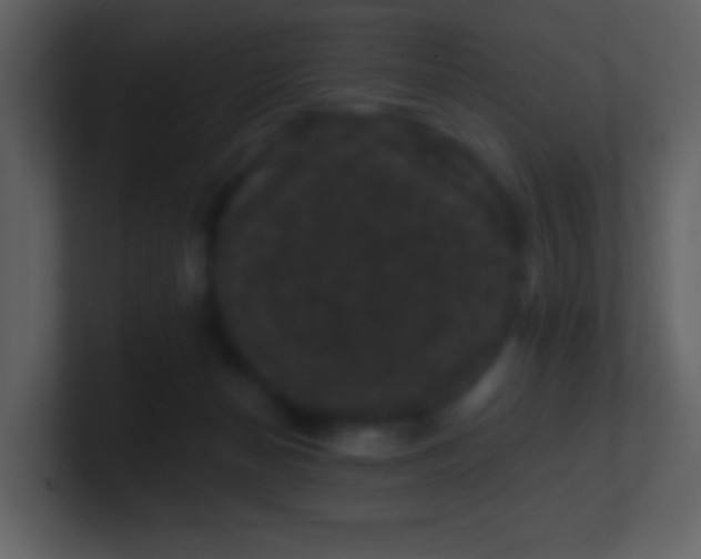 X0000100890174200807081049