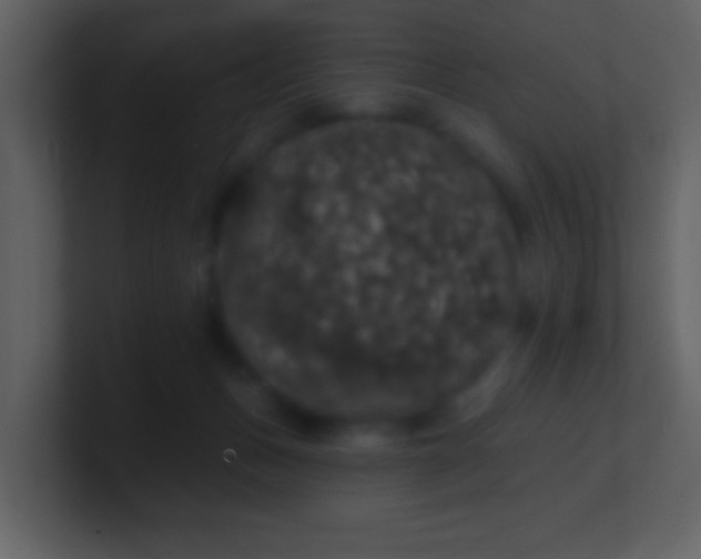 X0000100890175200807081049