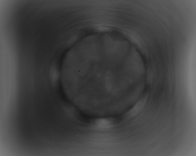 X0000100890176200807081049