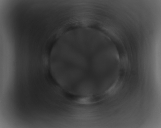 X0000100890178200807081049