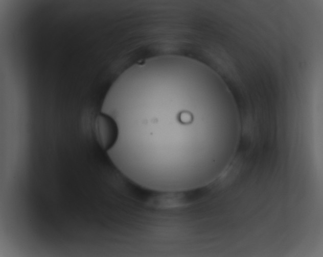 X0000100890179200807081049