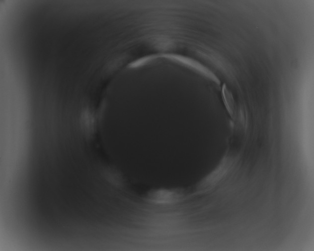 X0000100890180200807081049