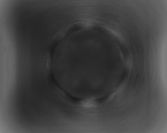 X0000100890181200807081049