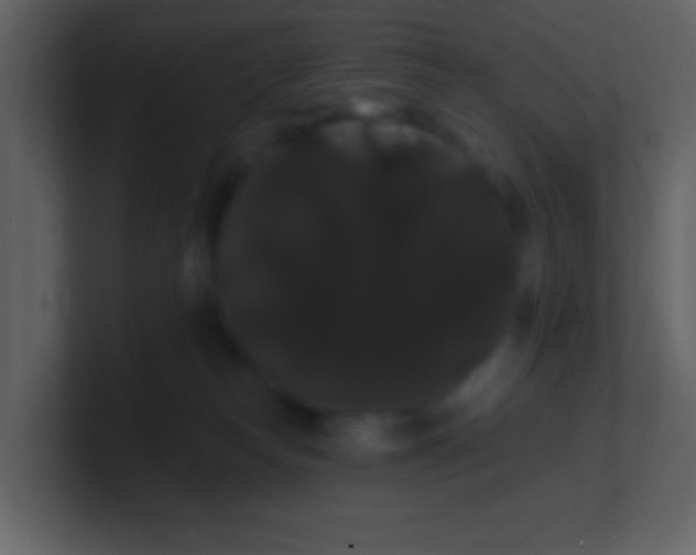 X0000100890182200807081049