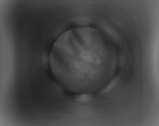 X0000100890184200807081049