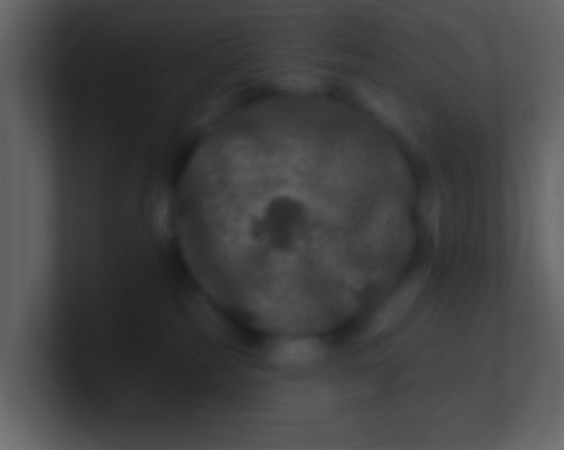 X0000100890185200807081049