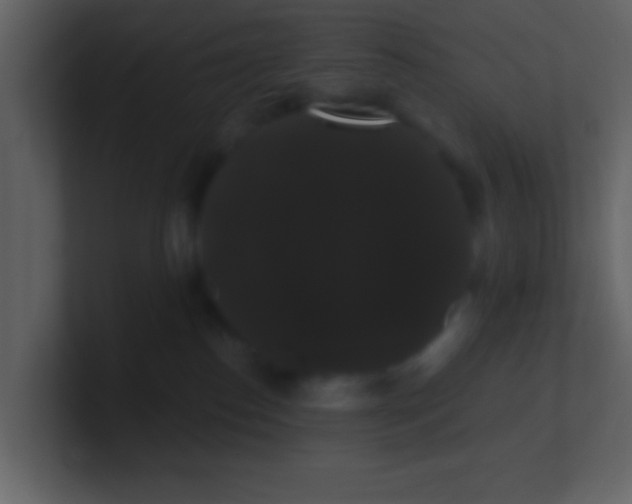 X0000100890186200807081049