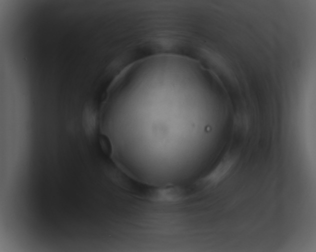 X0000100890188200807081049