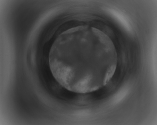 X0000100890189200807081049