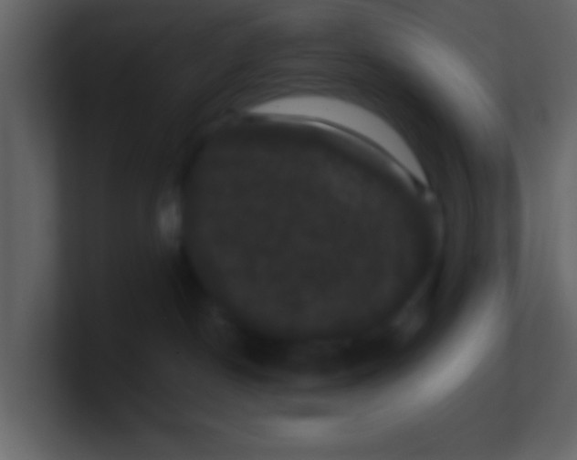 X0000100890190200807081049