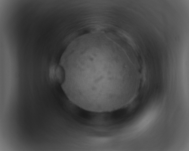 X0000100890191200807081049