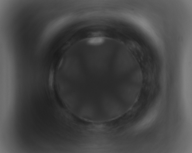 X0000100890194200807081048