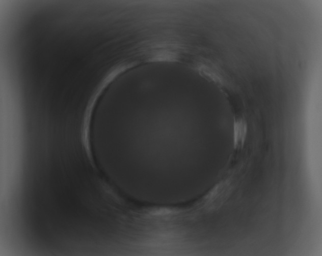 X0000100890195200807081048