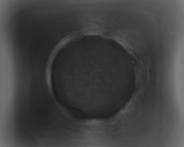 X0000100890197200807081048