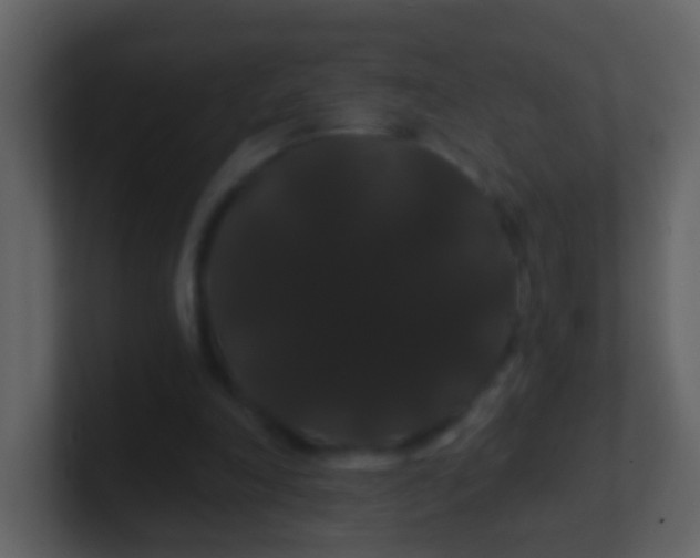 X0000100890198200807081048