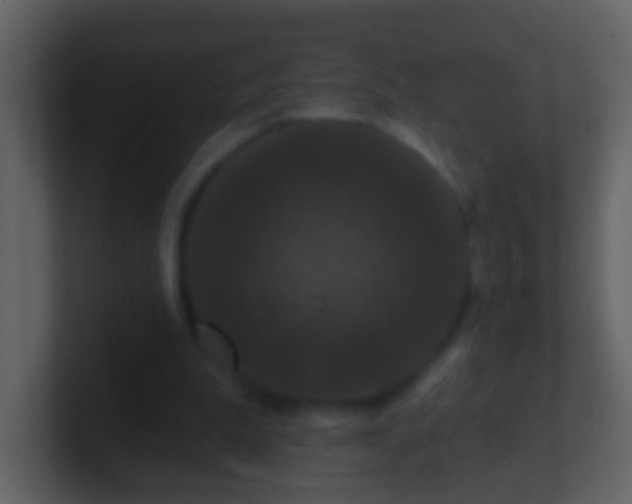 X0000100890199200807081048