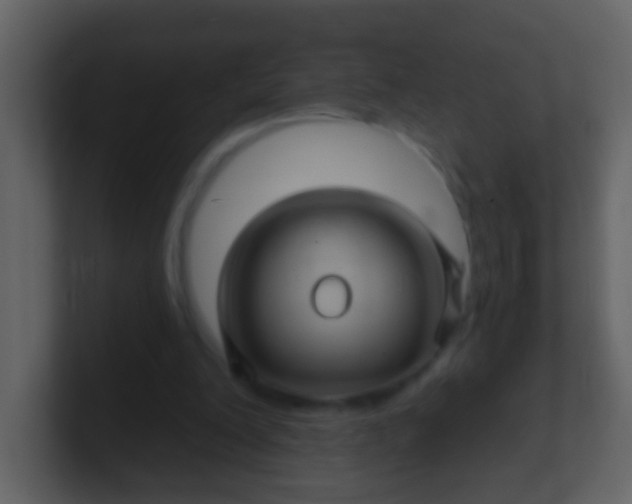 X0000100890200200807081048