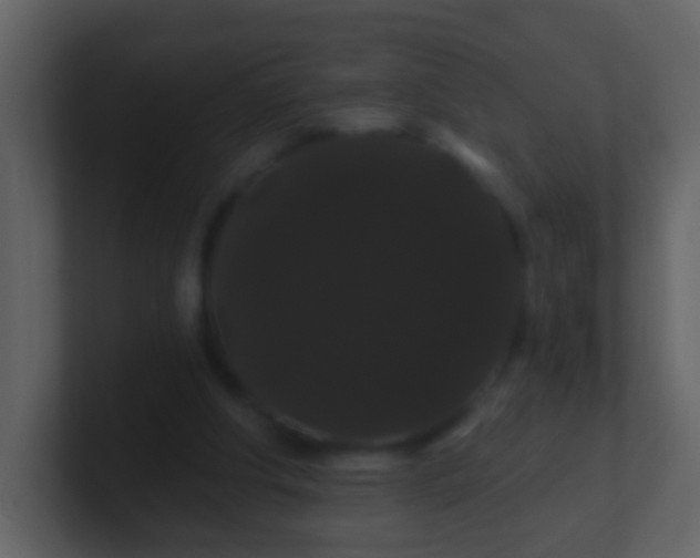 X0000100890202200807081048