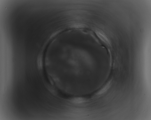 X0000100890203200807081048