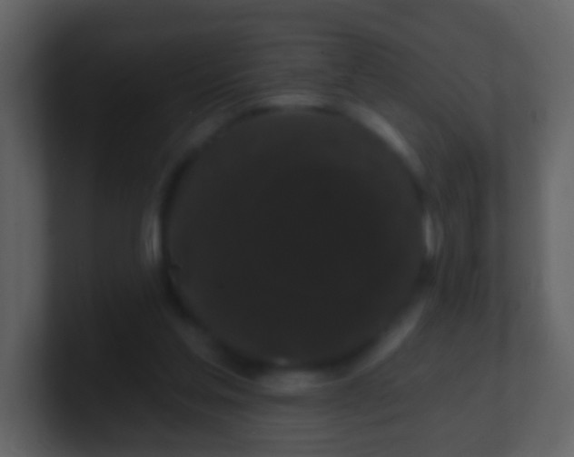 X0000100890205200807081048