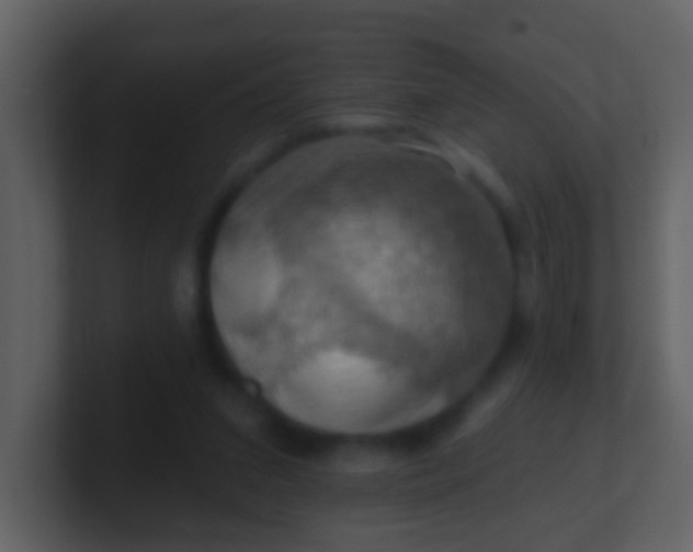 X0000100890207200807081048